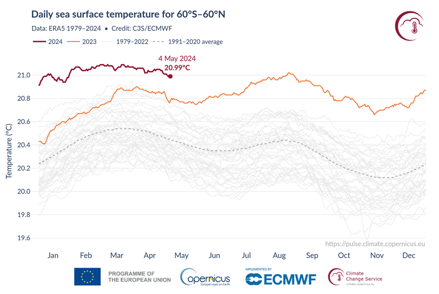 图3：1979年以来南北纬60°之间的海洋表面平均温度变化（来源：ECMWF）